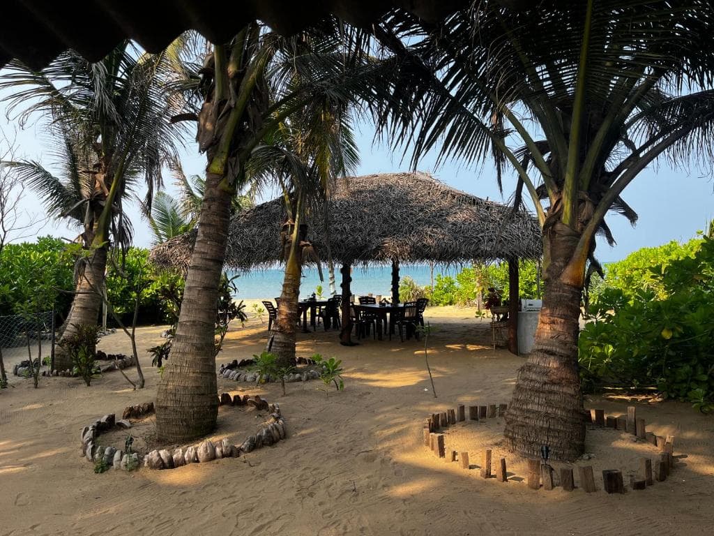 A thatched dining hut framed by coconut palms and the ocean